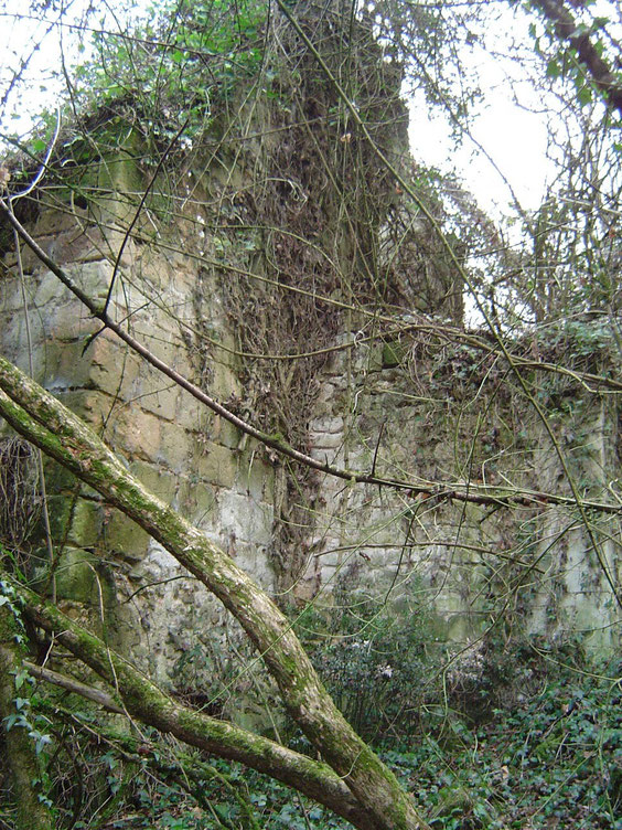 Dans le bois on découvre quelques bâtiments en ruines.