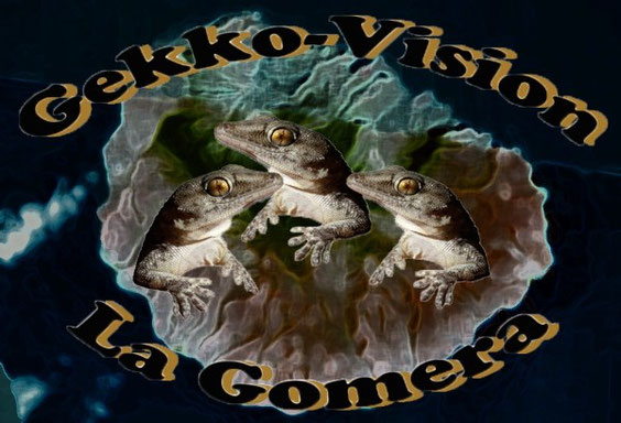 © Henner Riemenschneider Gekko-Vision La Gomera