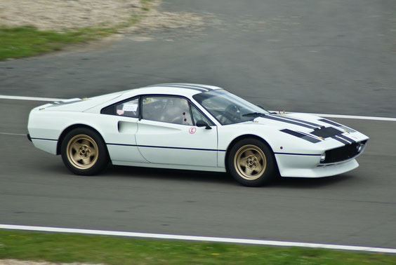 Ferrari 308 GTB Racing - by Alidarnic (Modena Trackdays 2011)