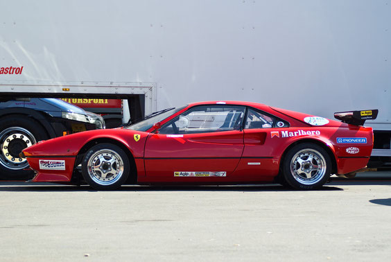 Ferrari 308 GTB Racing - by Alidarnic (Modena Trackdays 2011)