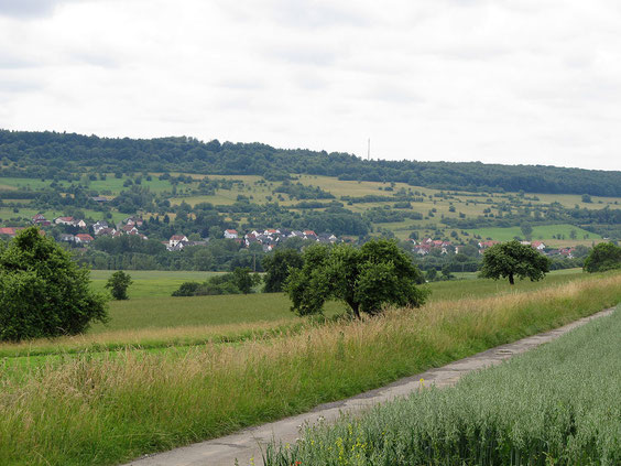 Blick auf Bliesdalheim