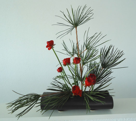 Fortgeschrittene Januar 2015