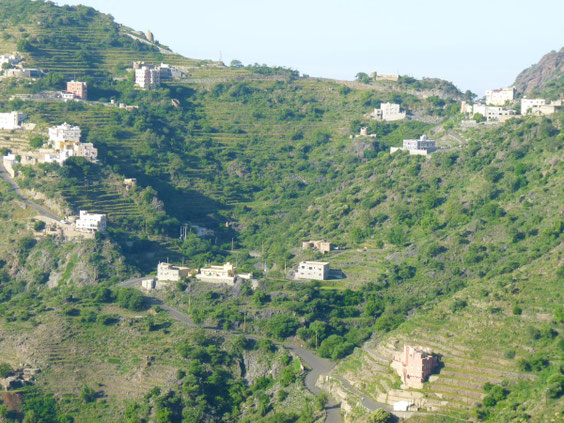 Terrassenfelder im Gebirge Asir