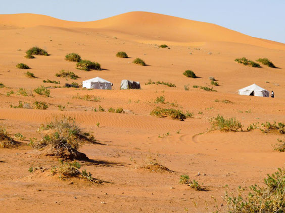 Auf dem Weg nach Riad. Wüsten zum übernachten gibt es genug.
