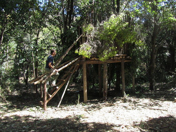 Umasithala su palafitte nella foresta della Bushmen valley