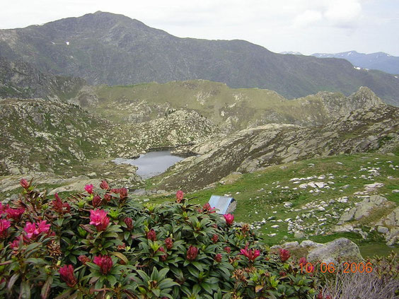 la cabane près de l'étang