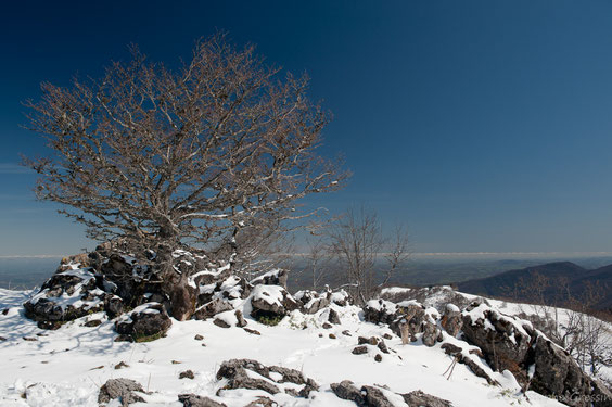 le sommet avec la neige