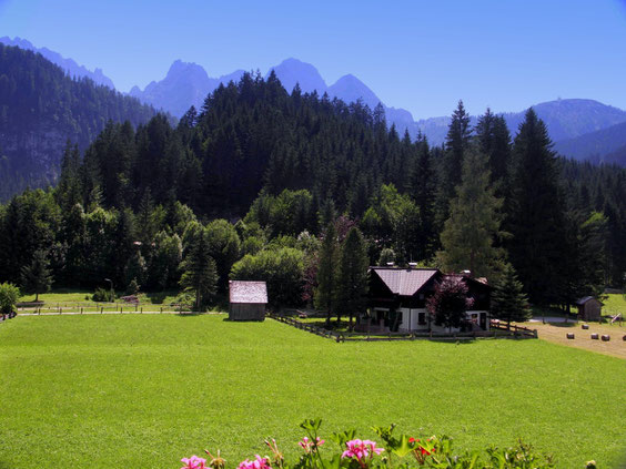 Balkonblick auf den Gosaukamm