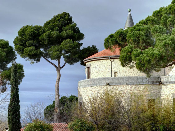 PINO CARRASCO DEL CASTILLO DEL CASTILLO DE VILLAVICIOSA DE ODÓN