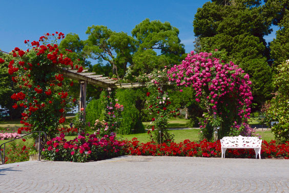 Roseninsel Mainau