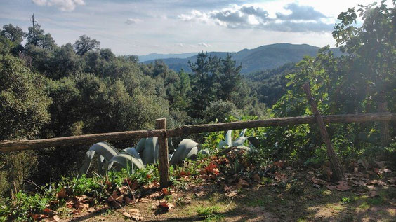 Vista des de Can Canaleta