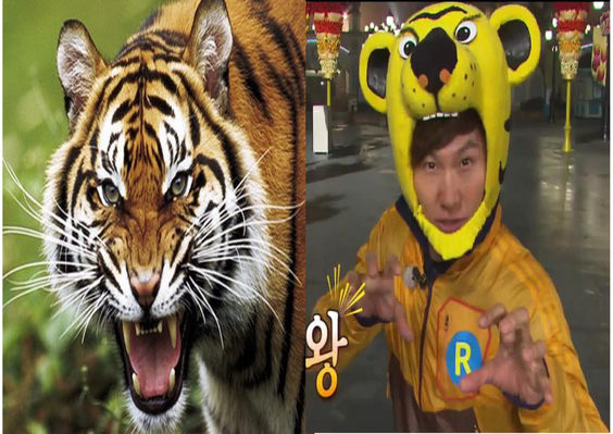 Kim Jong Kook Apodado "Tigre"