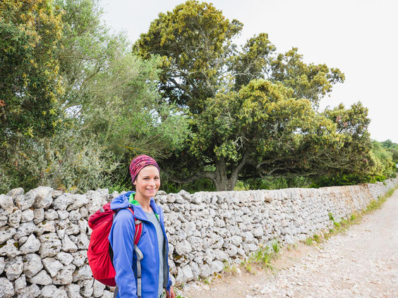 Hier sieht man eine solche Trockenmauer im Hintergrund. Im Hinterland von Menorca sind diese aus dem Landschaftsbild nicht weg zu denken.