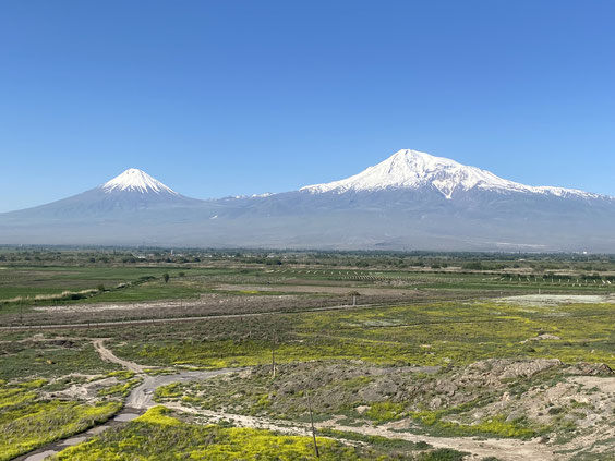 monte Ararat con punte innevate e valle  di prato verde e fiori gialli