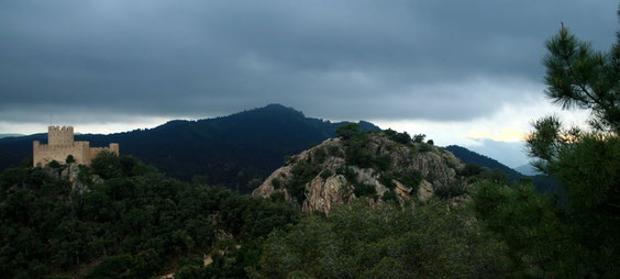 Turó del vent i castell de Farners