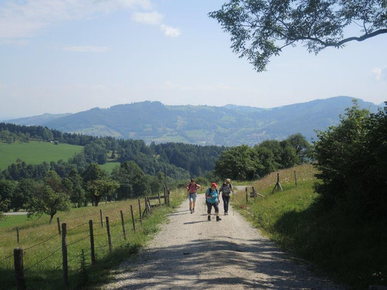 Herrlicher Blick auf die Kirchdorfer Bergwelt.