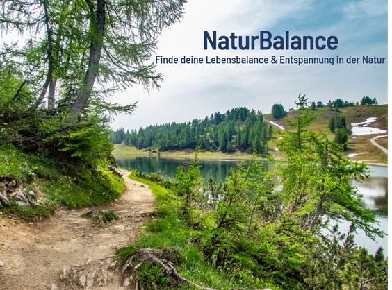 Nature-Balance-Stressreduktionsseminar von Myriam und Puls der Freiheit – eigens entwickeltes Konzept aus Wandern, Achtsamkeit und Naturerleben zur Stressbewältigung