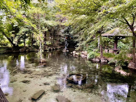 ここは近所の神社の湧き水の御池です♡私たちの魂も純粋ないのちの水が滾々と湧いています！