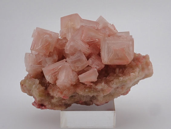 pink halite