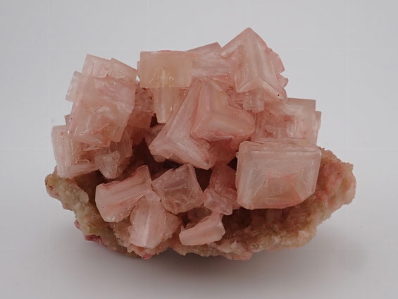 pink halite