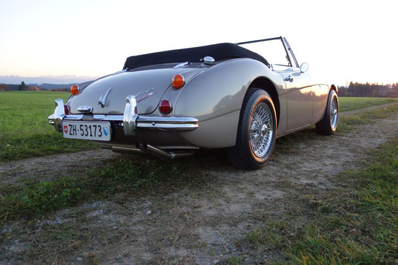 Austin Healey Golden Beige
