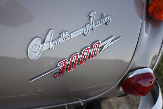 Austin Healey Golden Beige