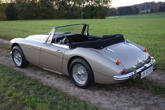 Austin Healey Golden Beige