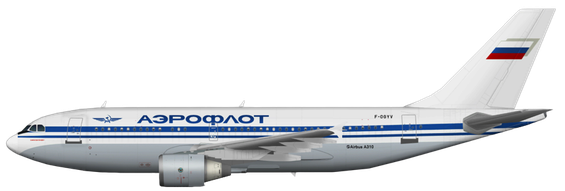 Aircraft Type: Airbus A310-300
