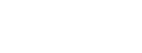 De website van biezondur!