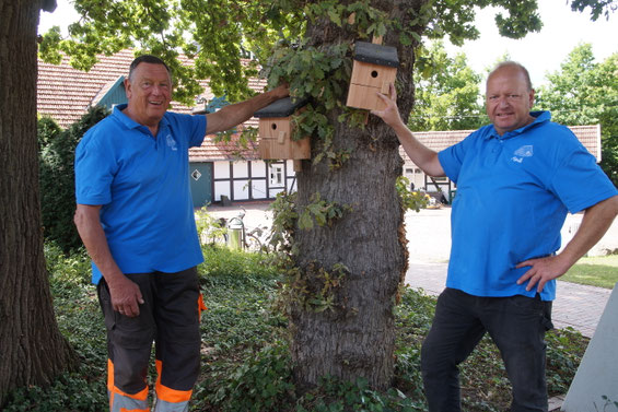 Zwei Männer mit blauen Poloshirts stehen links und rechts neben einer Eiche und halten jeweils einen Nistkasten aus Holz an den Stamm.