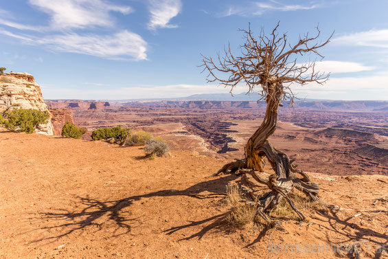 canyonlands, islandinthesky, national, park, usa, tipps, fotografie, wandern, wandertipps, selbstfahrer, geplant, jucy, campervan,trekking,herbst,oktober