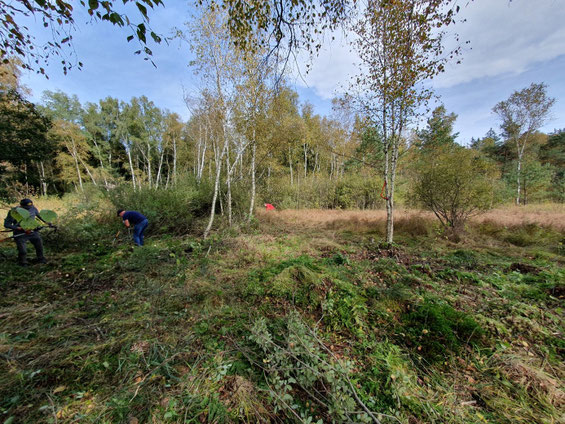 Wildmoos bei Gilching - Claudius Birke