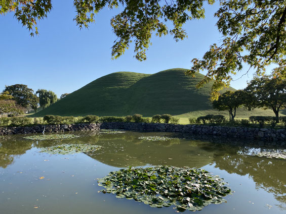 le tombe reali del regno di Silla sotto forma di collinette verdi nel Tumuli Park di Gyeongju. Con laghetto di fronte