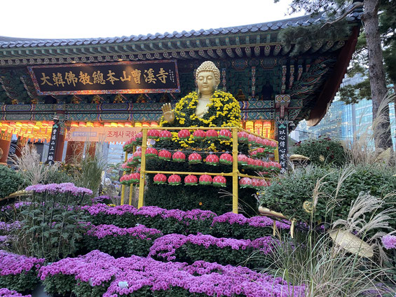 Jogyesa Temple di Seoul. Grande statua doranta del Buddha all'ingresso e lanterne vasi di fiori colorati