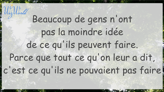 "Beaucoup de gens n'ont pas la moindre idée de ce qu'ils peuvent faire parce que tout ce qu'on leur a dit, c'est ce qu'ils ne pouvaient pas faire." Wizworld