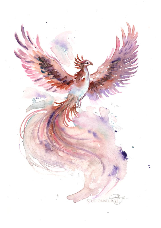 Phönix, Vogel, Flügel, Tattoo, Tätowierung, tatoo, Körperkunst, Entwurf, Design, Aquarell, Illustration, contemporary art, zeitgenössische Kunst, spirit, healing art, watercolour, watercolor