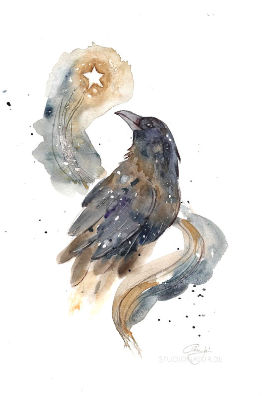 Rabe, Krähe, Stern, crow, raven, crowlover, Tattoo, Tätowierung, tatoo, Körperkunst, Entwurf, Design, Aquarell, Illustration, contemporary art, zeitgenössische Kunst, spirit, healing art, watercolour, watercolor