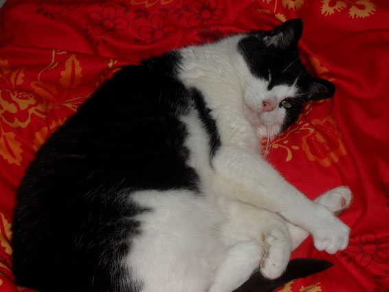 unser liebste "Mitbewohnerin-Lilly"