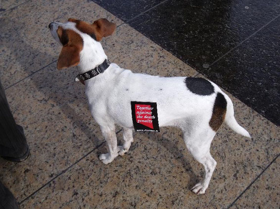 Auch mit von der Partie: Little Dogs Against the Death Penalty! *smile*