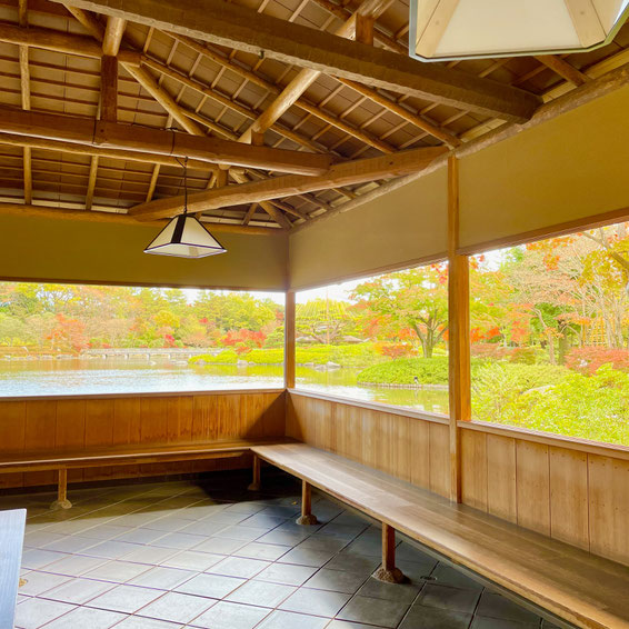 Red and yellow leaves in Japanese garden at Showa Kinen Park. 