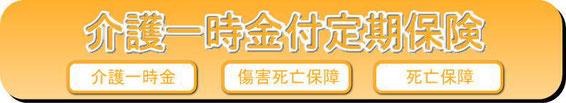 介護一時金付定期保険