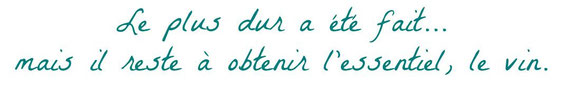 Le plus dur a été fait... mais il reste à obtenir l'essentiel, le vin.