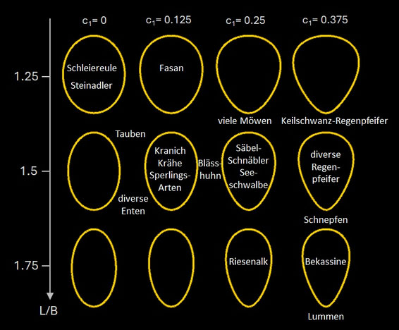 Eiformen mit Preston-Modell (c2=0, c3=0)