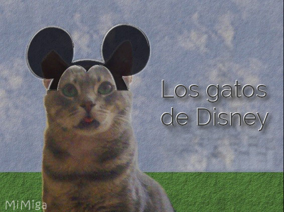 gatos-de-disney-gato-orejas-mickey-mouse