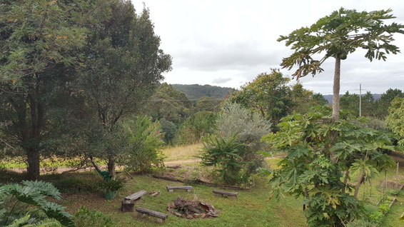 2016 : View of Avatar's Abode in the far distance from John's backyard. Photo taken by Anthony Zois