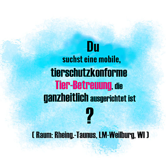 Ganzheitliche Tierbetreuung. Du suchst eine mobile, tierschutzkonforme Tier-Betreuung, die ganzheitlich ausgerichtet ist?