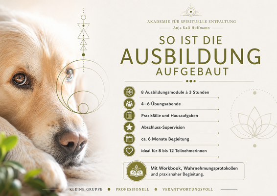 Aufbau der Tierkommunikation Ausbildung mit 8 Modulen Übungsabenden Praxisfällen und Abschluss Supervision