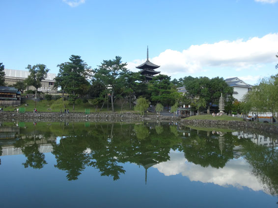 興福寺　猿沢の池