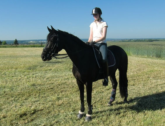 Sue auf dem " Rath Rundweg "