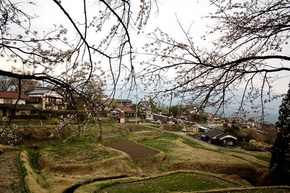 Magome : rizière pas encore en eau 